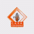 Cooperativa C.A.P.A. Cologna